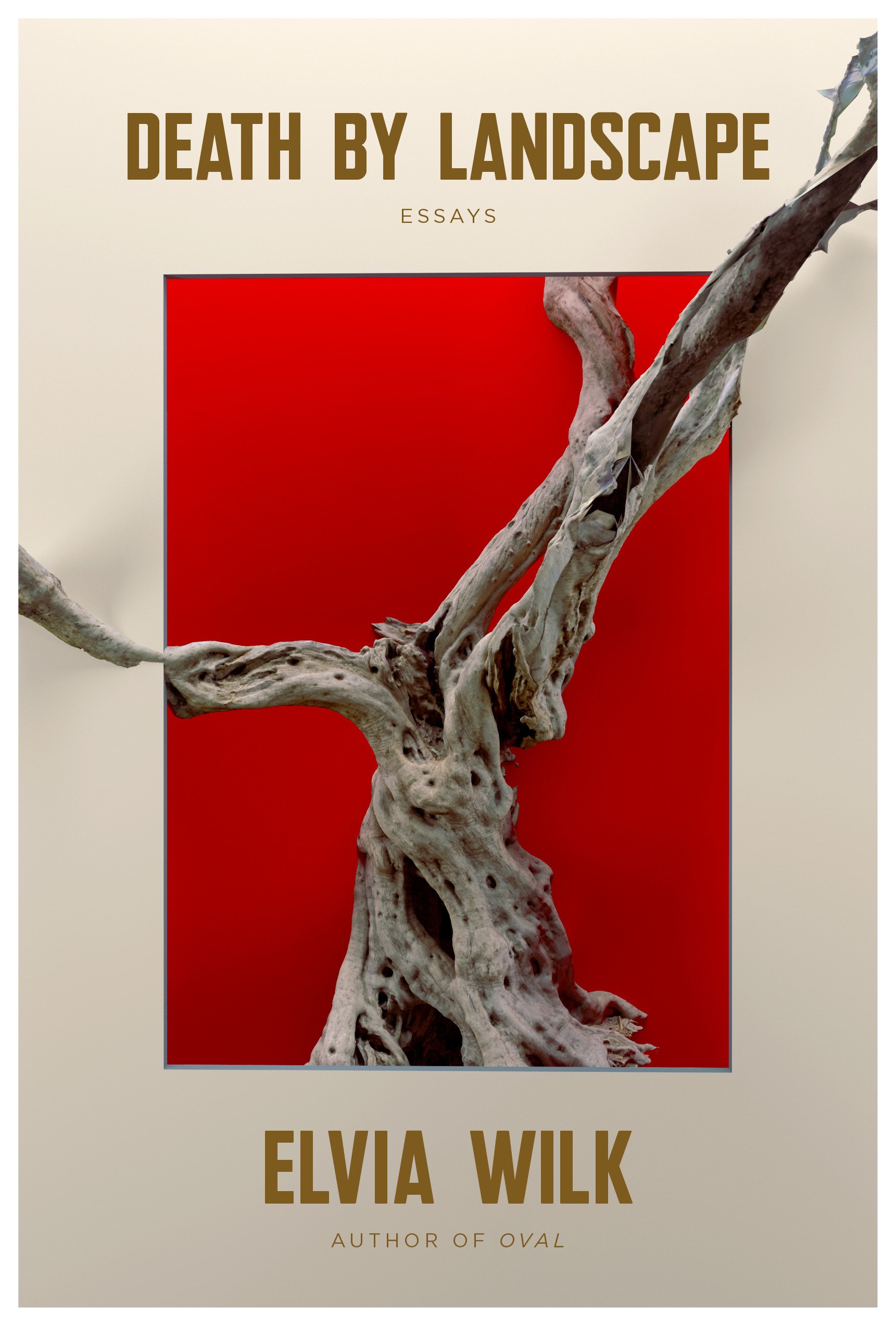 Reviewed by Charis Caputo